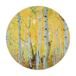 Fall colours of Aspen trees 1 Cutting Board