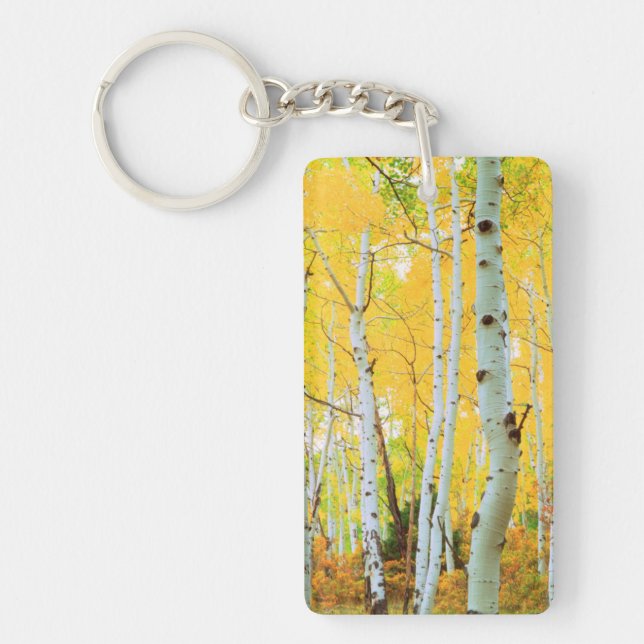 Fall colours of Aspen trees 1 Keychain (Front)