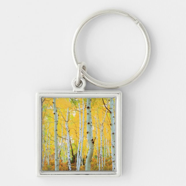 Fall colours of Aspen trees 1 Keychain (Front)