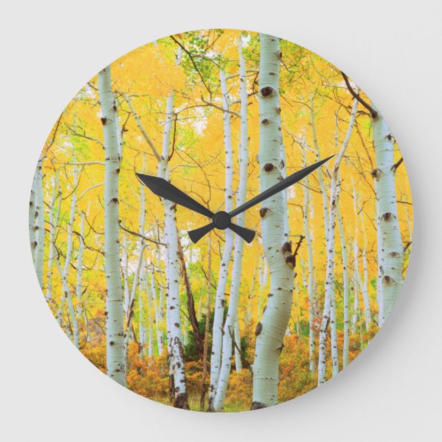 Fall colours of Aspen trees 1 Large Clock (Front)