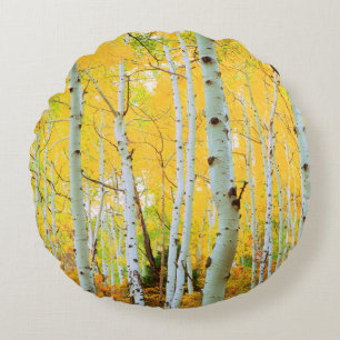 Fall colours of Aspen trees 1 Round Pillow