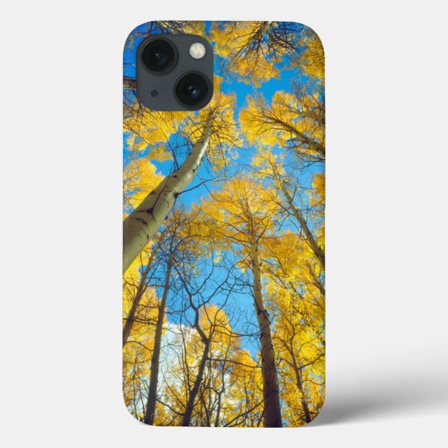 Fall colours of Aspen trees 2 Case-Mate iPhone Case (Back)