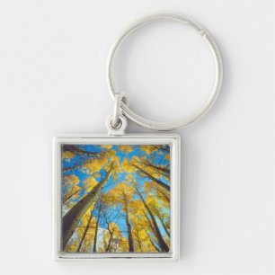 Fall colours of Aspen trees 2 Keychain