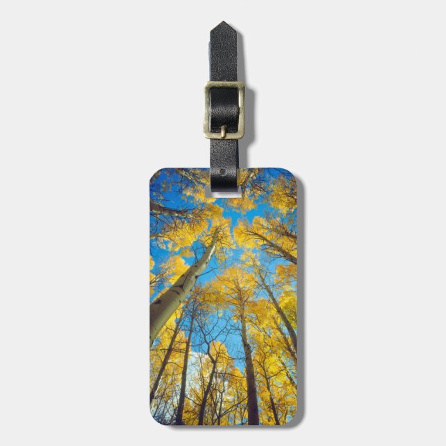 Fall colours of Aspen trees 2 Luggage Tag (Front Vertical)