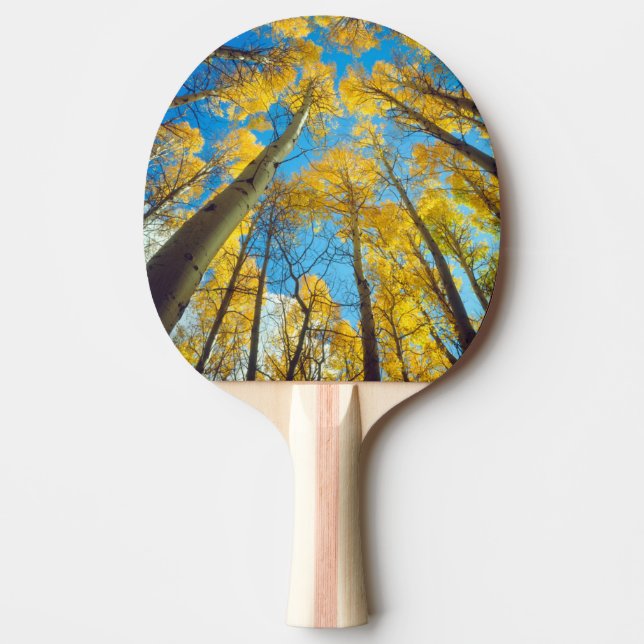Fall colours of Aspen trees 2 Ping Pong Paddle (Front)