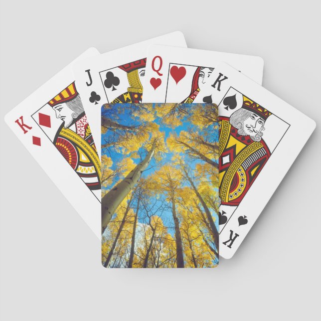 Fall colours of Aspen trees 2 Playing Cards (Back)