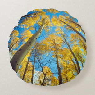 Fall colours of Aspen trees 2 Round Pillow