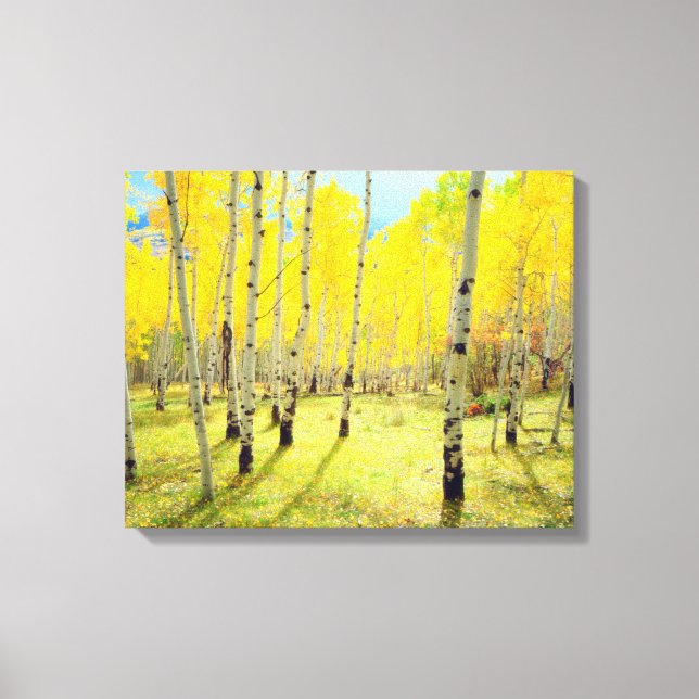 Fall colours of Aspen trees 4 Canvas Print (Front)