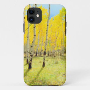 Fall colours of Aspen trees 4 iPhone 11 Case