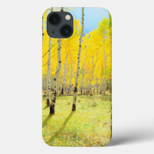 Fall colours of Aspen trees 4 iPhone 13 Case