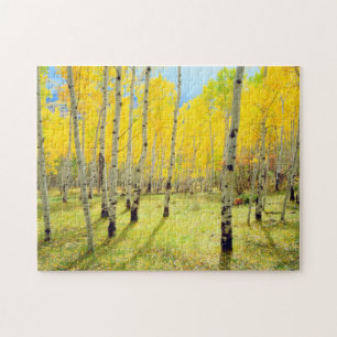 Fall colours of Aspen trees 4 Jigsaw Puzzle