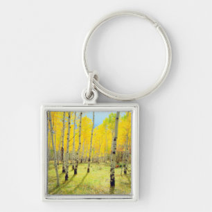 Fall colours of Aspen trees 4 Keychain