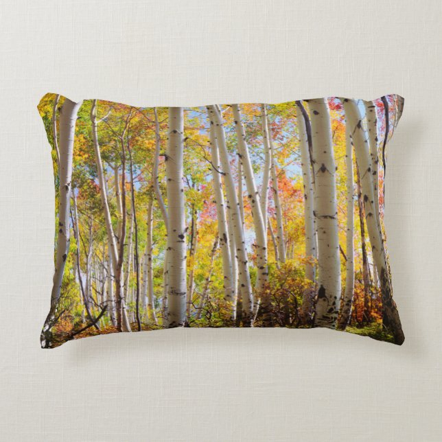Fall colours of Aspen trees 5 Accent Pillow (Front)