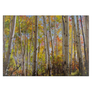 Fall colours of Aspen trees 5 Cutting Board