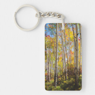 Fall colours of Aspen trees 5 Keychain