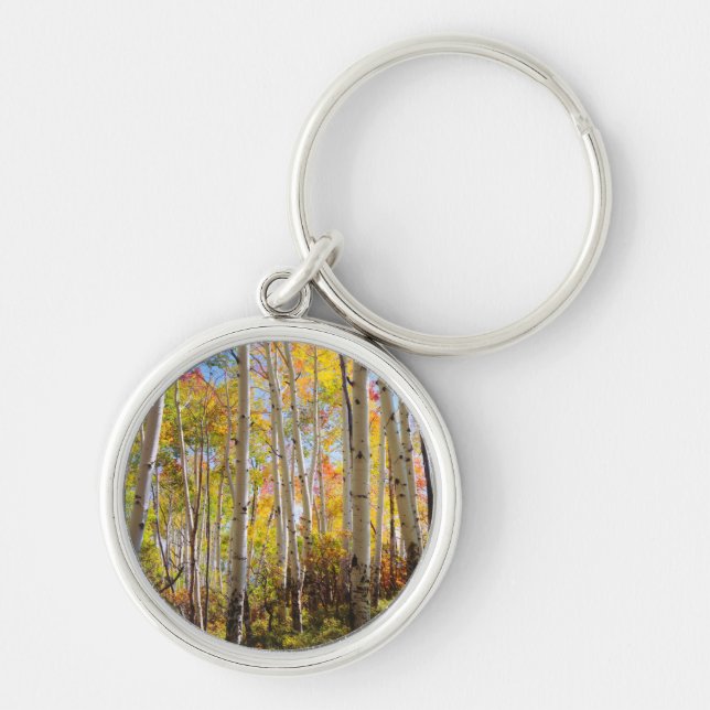 Fall colours of Aspen trees 5 Keychain (Front)