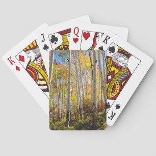 Fall colours of Aspen trees 5 Playing Cards