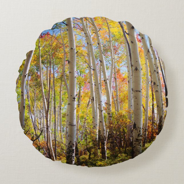 Fall colours of Aspen trees 5 Round Pillow (Front)
