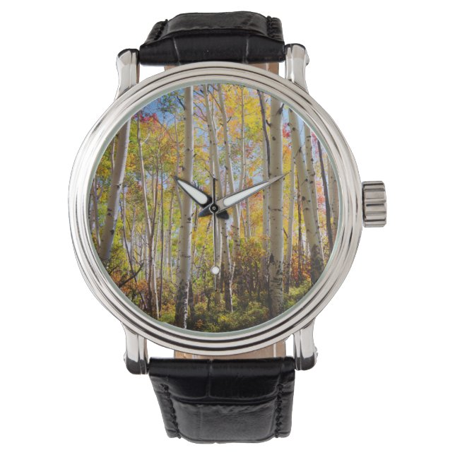 Fall colours of Aspen trees 5 Watch (Front)