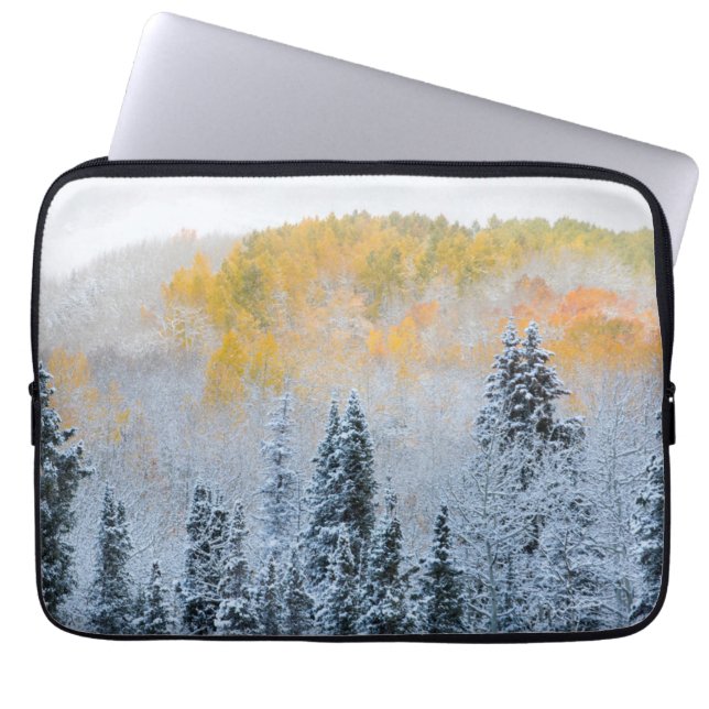 Fall Colours of Aspens & Fresh Snow Keebler Pass Laptop Sleeve (Front)