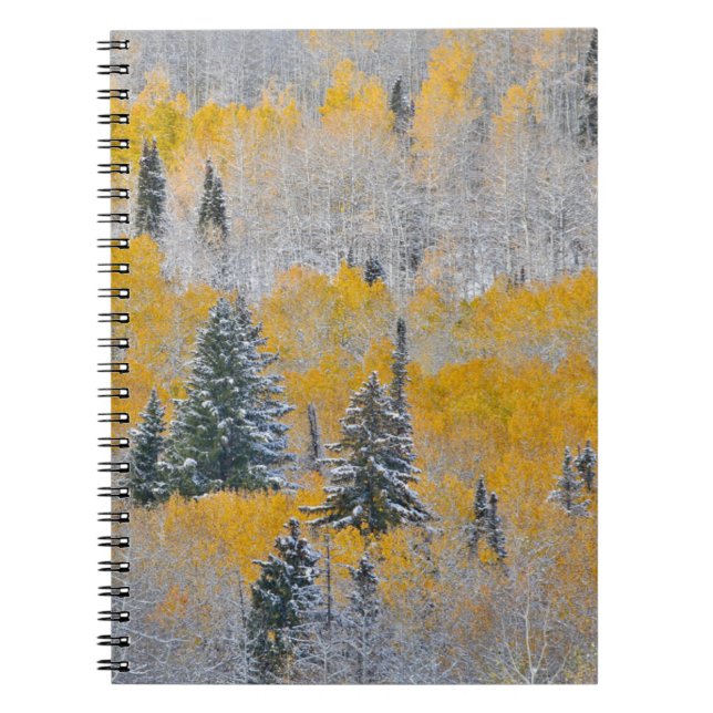 Fall Colours of Aspens & Fresh Snow Keebler Pass Notebook (Front)
