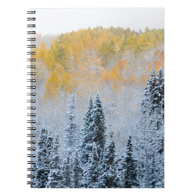 Fall Colours of Aspens & Fresh Snow Keebler Pass Notebook (Front)