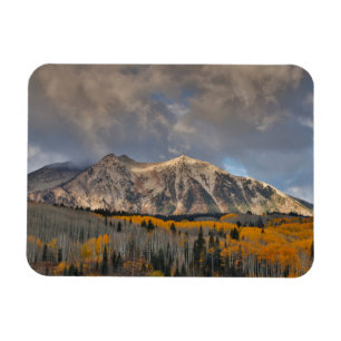 Fall Colours of Aspens, Keebler Pass Magnet