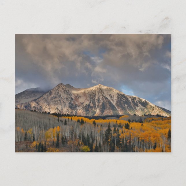 Fall Colours of Aspens, Keebler Pass Postcard (Front)
