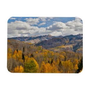 Fall Colours of Aspens & Oaks Keebler Pass Magnet
