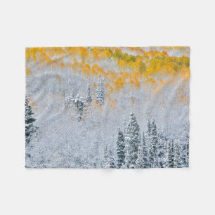 Fall Colours of Aspens   Rocky Mountains, Colorado Fleece Blanket