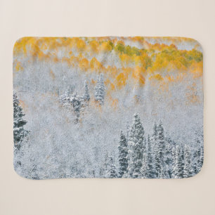 Fall Colours of Aspens   Rocky Mountains, Colorado Sherpa Blanket