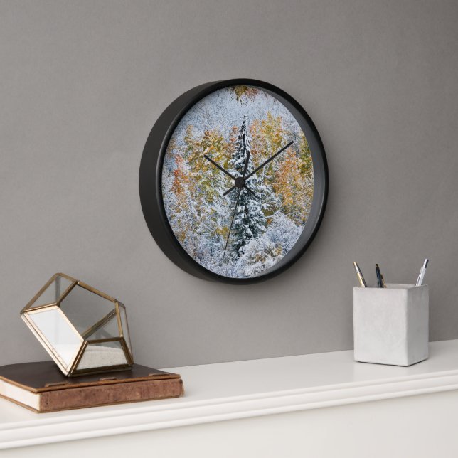 Fall Colours of Aspens & Snow Keebler Pass Clock (Office)