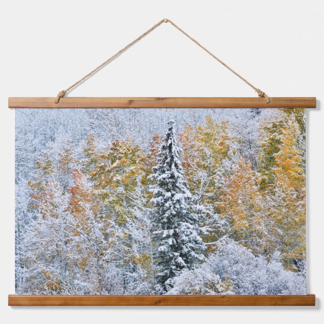 Fall Colours of Aspens & Snow Keebler Pass Hanging Tapestry (Front)