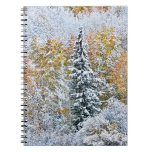 Fall Colours of Aspens & Snow Keebler Pass Notebook