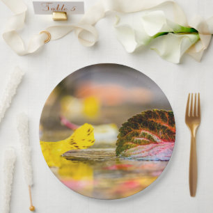 Fall colours paper plate