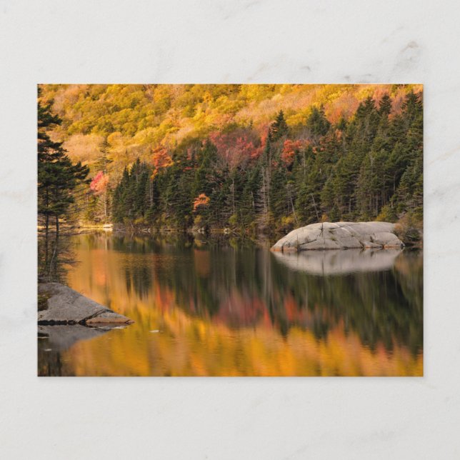 Fall Colours Reflected on Beaver Pond Postcard (Front)