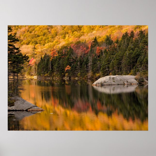 Fall Colours Reflected on Beaver Pond Poster (Front)