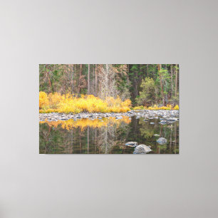 Fall Colours Reflections Canvas Print