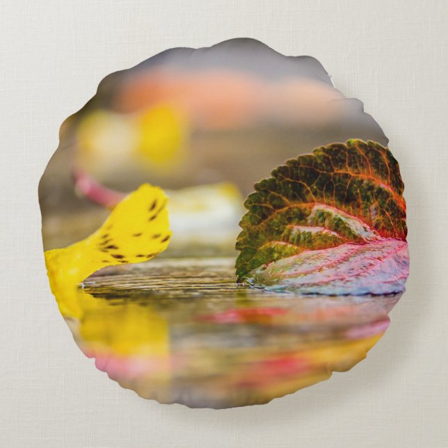 Fall colours round pillow (Back)