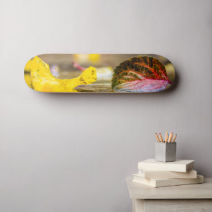 Fall colours skateboard