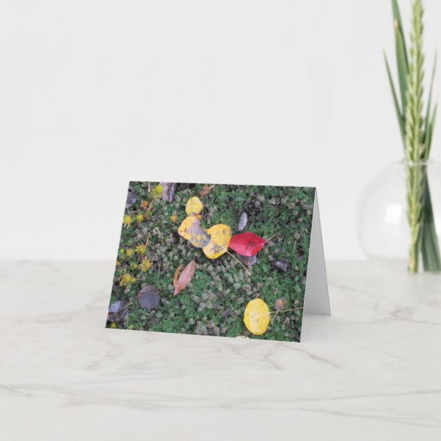 Fall Colours Sympathy Card (Front)