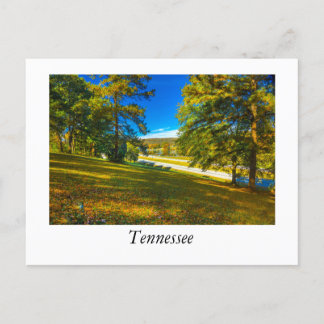 Fall Colours Tennessee Postcard