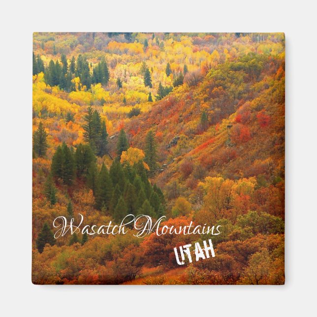 Fall Colours, Wasatch Mountains, Northern Utah Mag Magnet (Front)