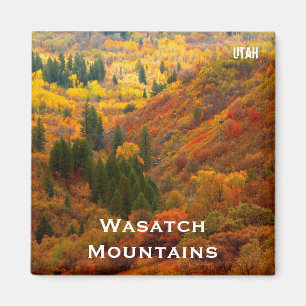 Fall Colours, Wasatch Mountains, Northern Utah Magnet