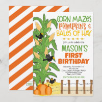 Fall Corn Maze Pumpkin Boy Birthday