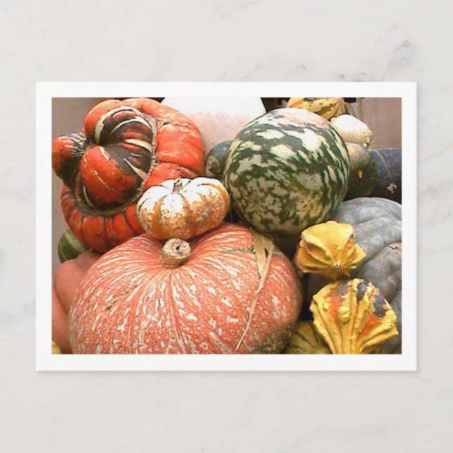 Fall Cornicopia Postcard (Front)