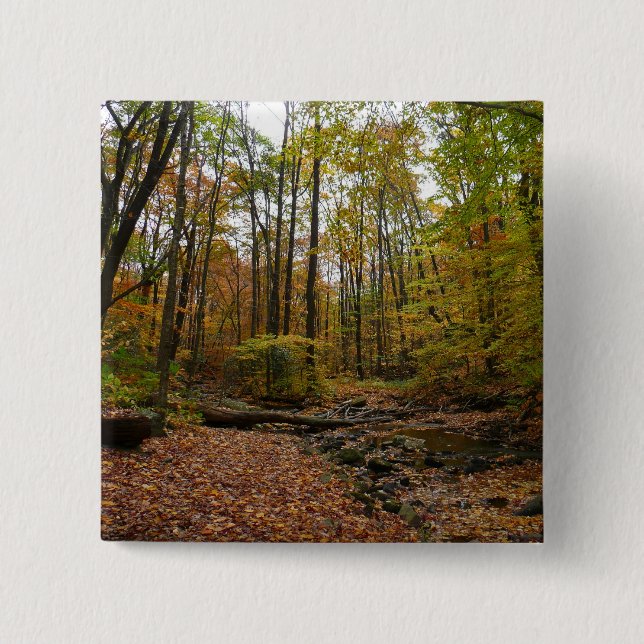 Fall Creek at Laurel Hill State Park 2 Inch Square Button (Front)