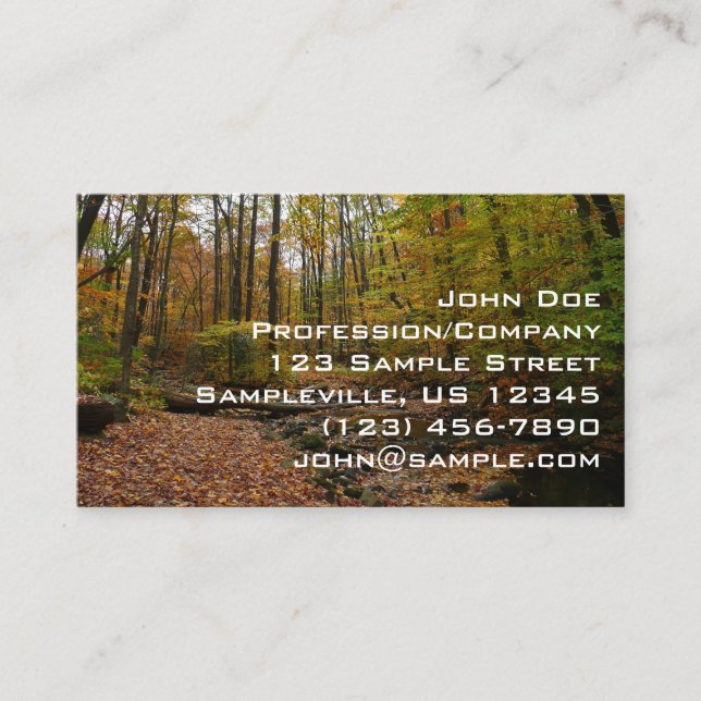 Fall Creek at Laurel Hill State Park Pennsylvania Business Card (Front)