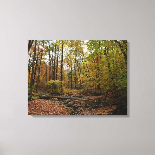 Fall Creek at Laurel Hill State Park Pennsylvania Canvas Print (Front)