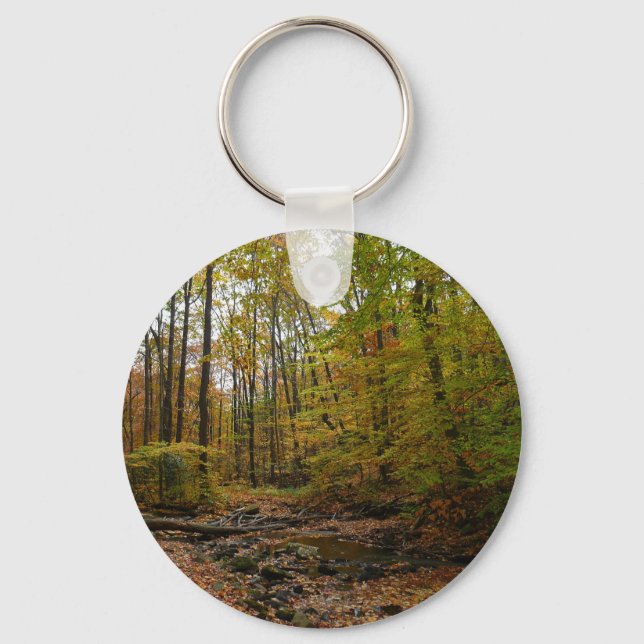 Fall Creek at Laurel Hill State Park Pennsylvania Keychain (Front)